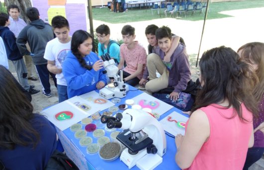 Programa de Talentos Semilla UCM invita a la comunidad a su Feria de Aprendizajes